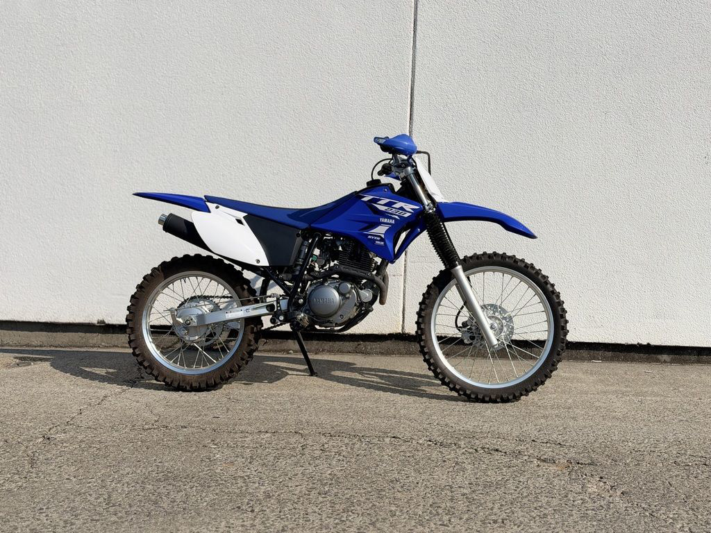 2018 Yamaha TT-R 230 in Huntsville, AL