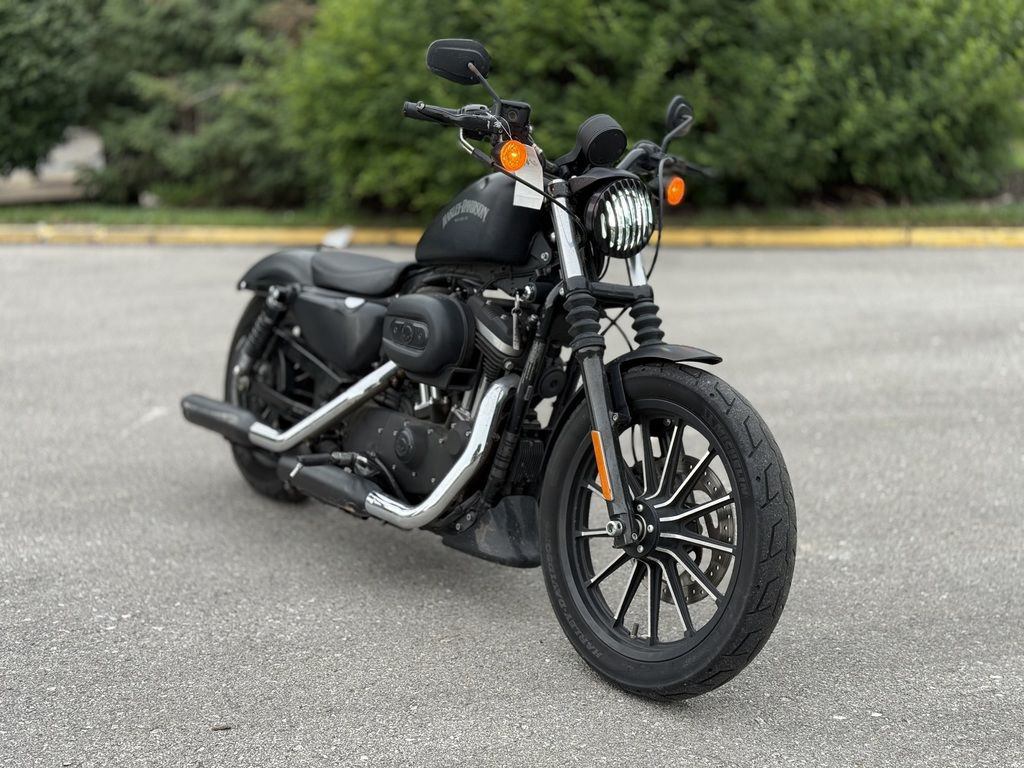 2014 Harley-Davidson XL883N - Sportster Iron 883 IRON in Olathe, KS