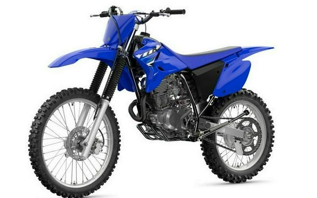 2026 Yamaha TT-R230 in Pelham, AL