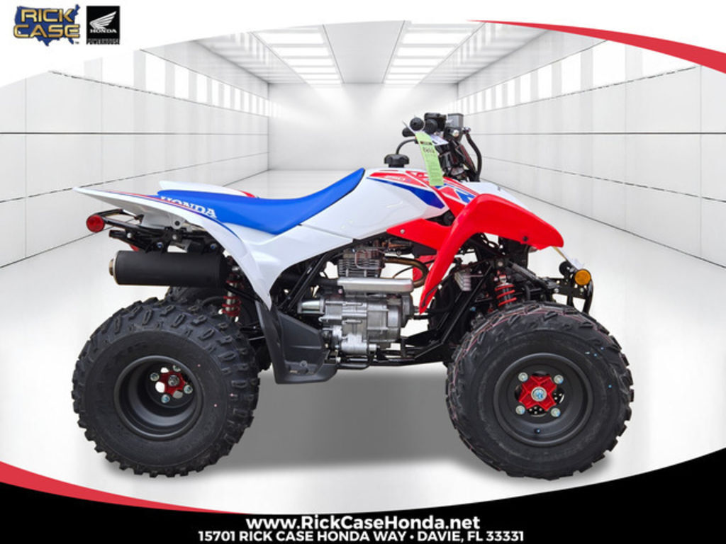 2026 Honda® TRX250X in davie FL
