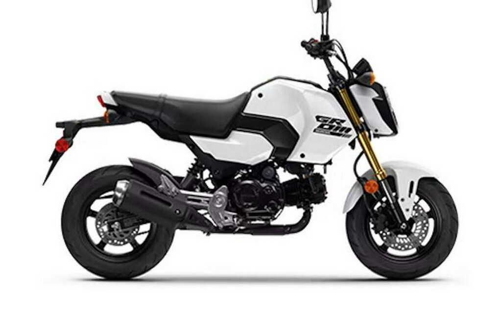 2025 Honda Grom in Trussville, AL