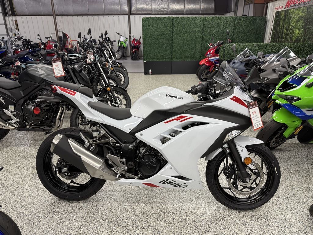2026 Kawasaki NINJA® 300 ABS 300 ABS in Lake Villa, IL