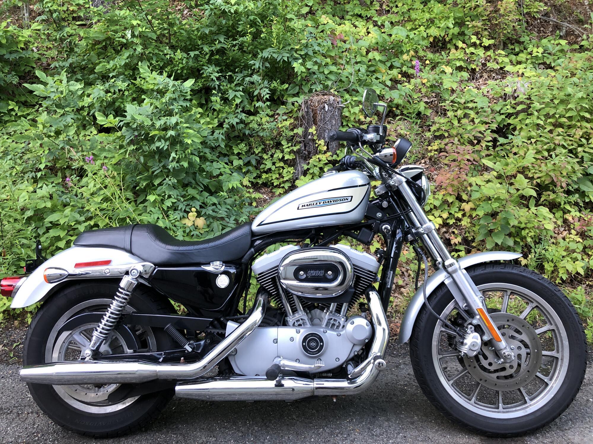 2004 Harley-Davidson 1200 Roadster in Bellingham, MA