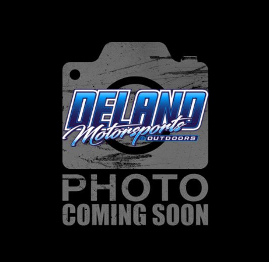2016 Honda Africa Twin DCT ABS DCT ABS in Orange City, FL