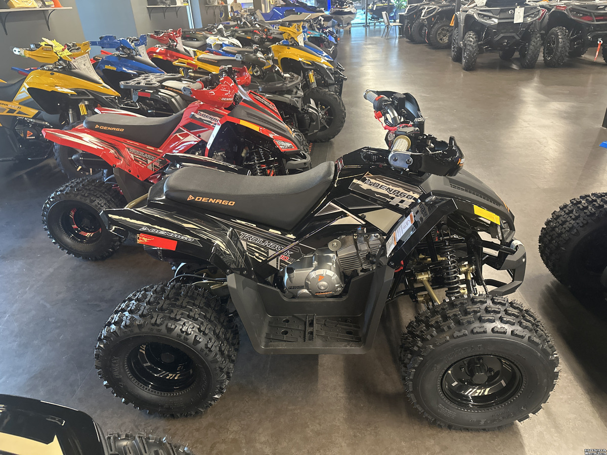 2026 Denago Trailhawk 10 FI in winston-salem NC