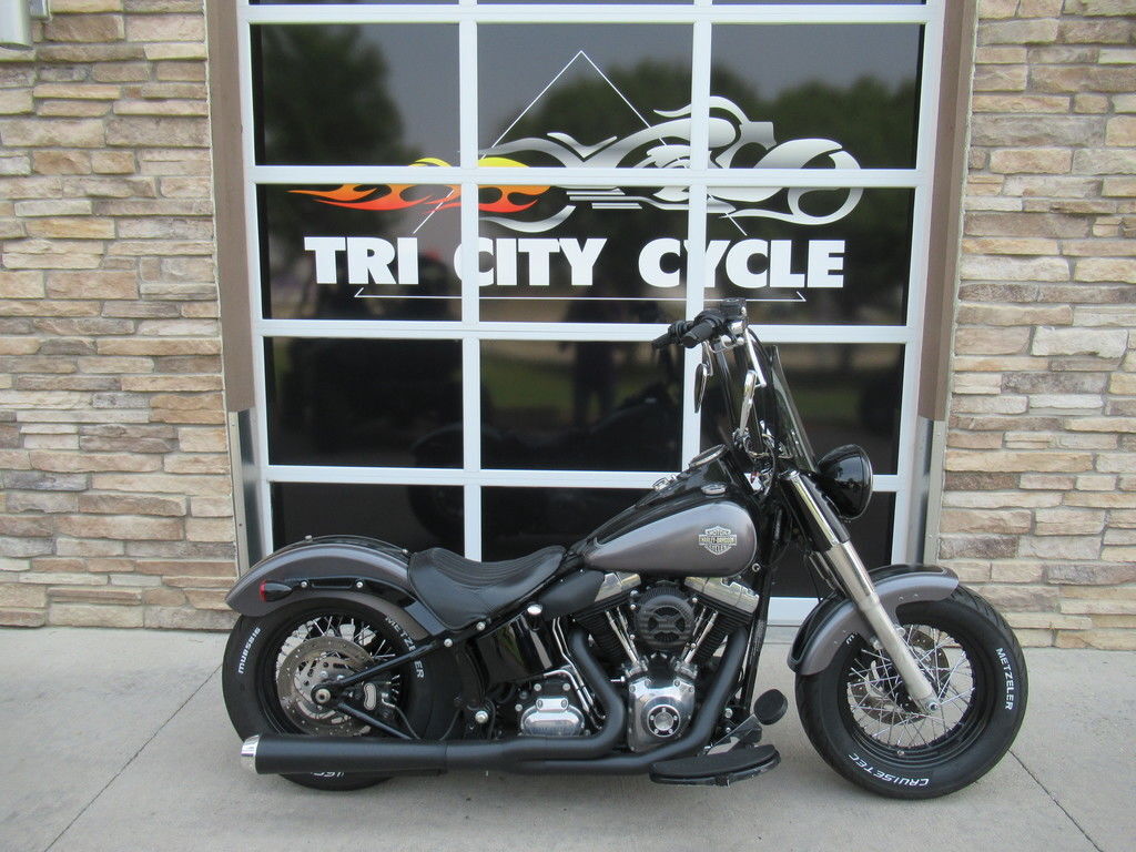 2014 Harley-Davidson® FLS - Softail Slim® SLIM in Loveland, CO