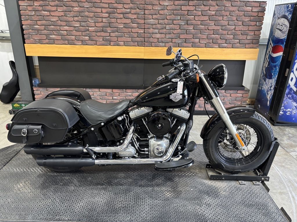2015 Harley-Davidson® FLS - Softail Slim® SLIM in Wichita, KS