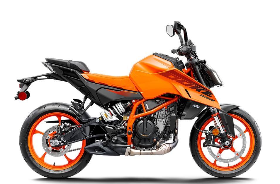 2024 KTM 390 Duke DUKE in Frederick, MD