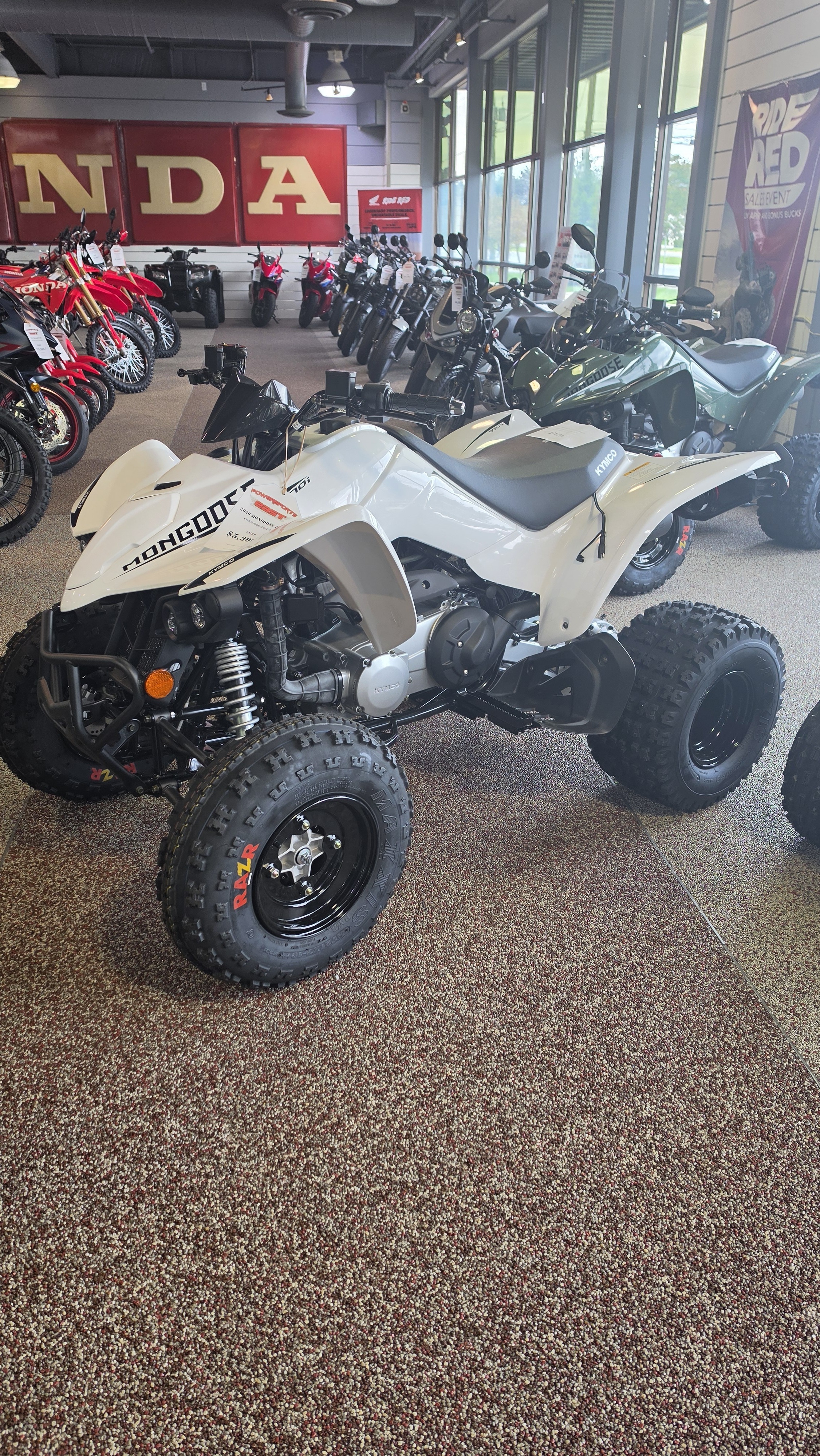 2026 Kymco Mongoose 270i in bear DE