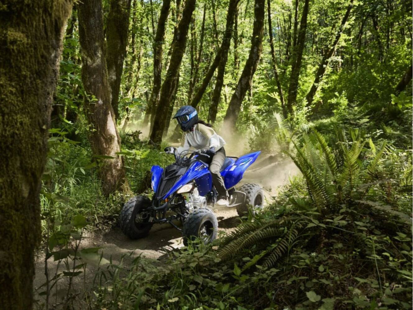 A photo of this 2026 Yamaha Raptor 700R