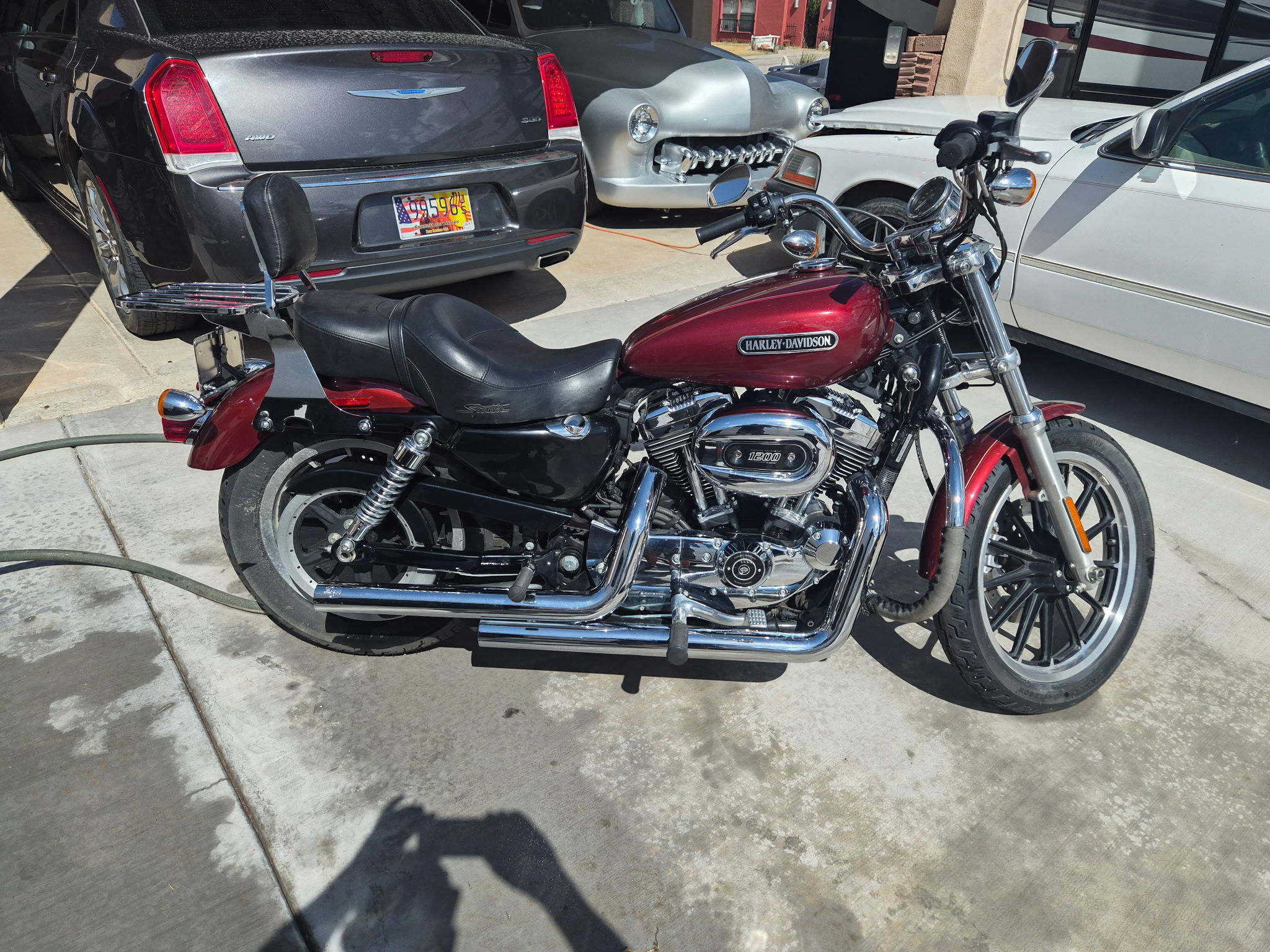 2009 Harley-Davidson SPORTSTER 1200 LOW 1200 LOW in Alamogordo, NM