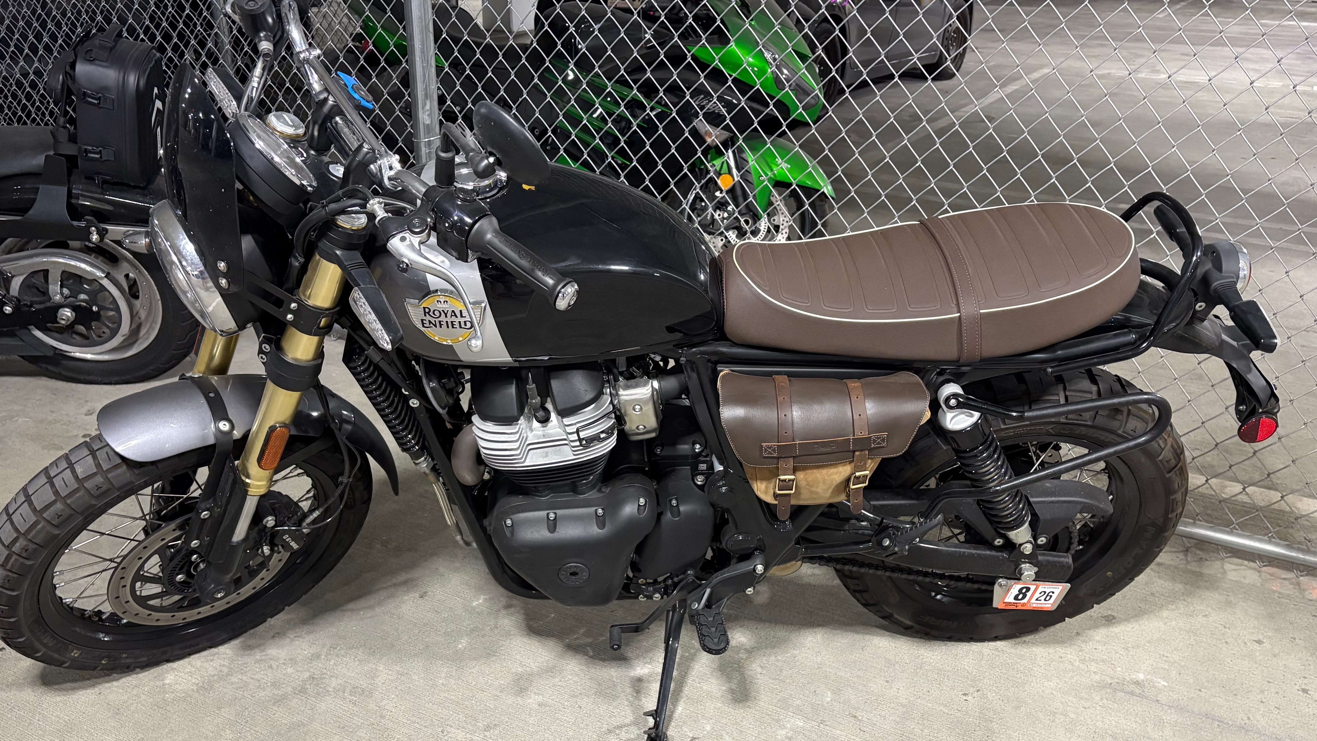 2025 Royal Enfield BEAR 650 650 in Arlington, VA