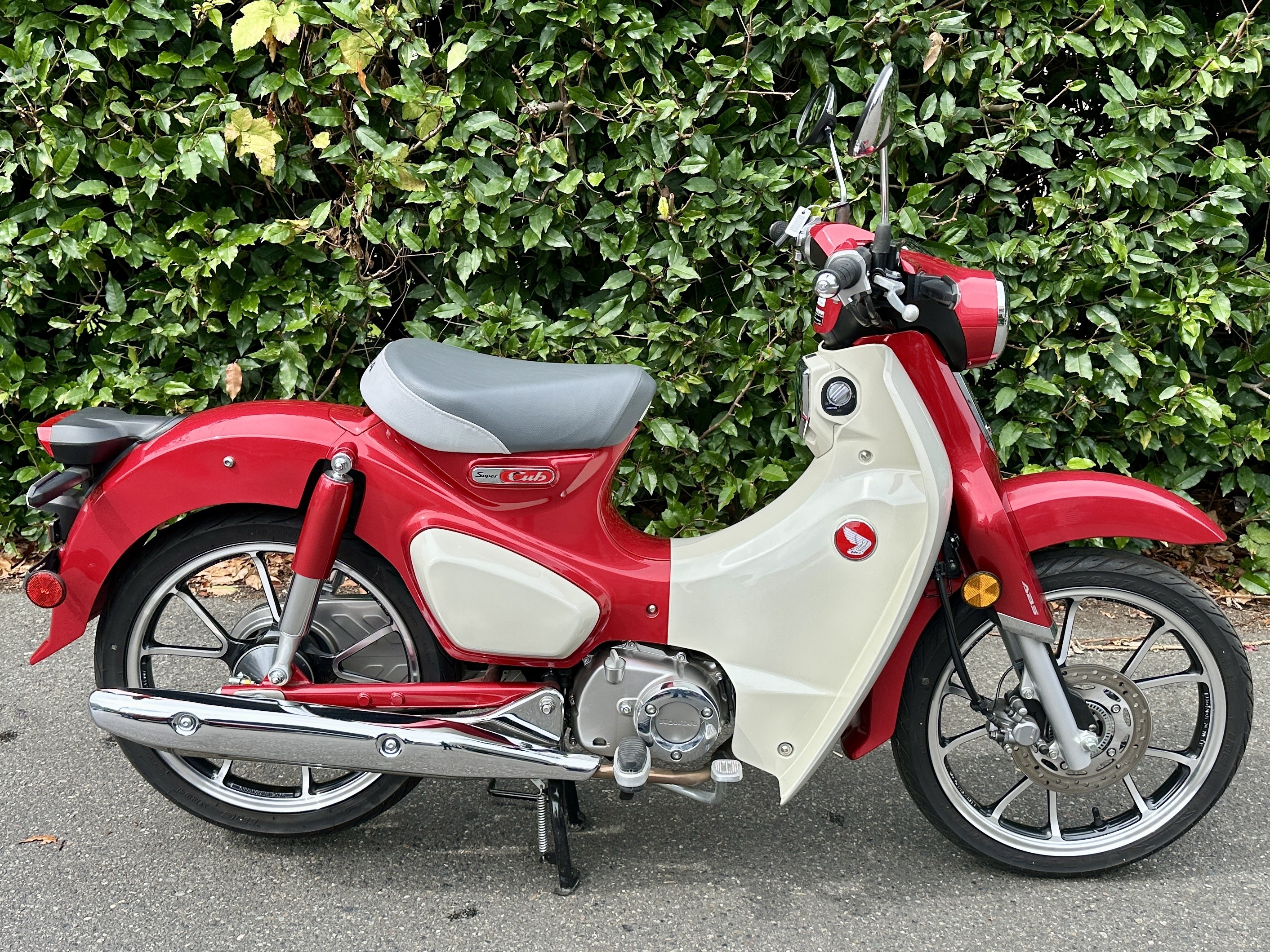 2020 Honda Super Cub C125 ABS C125 ABS in Issaquah, WA