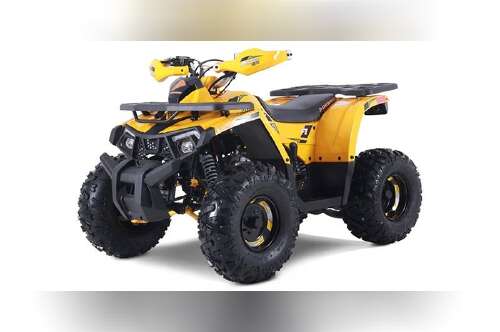 2026 Denago Powersports Mudhawk 10FI in jackson OH