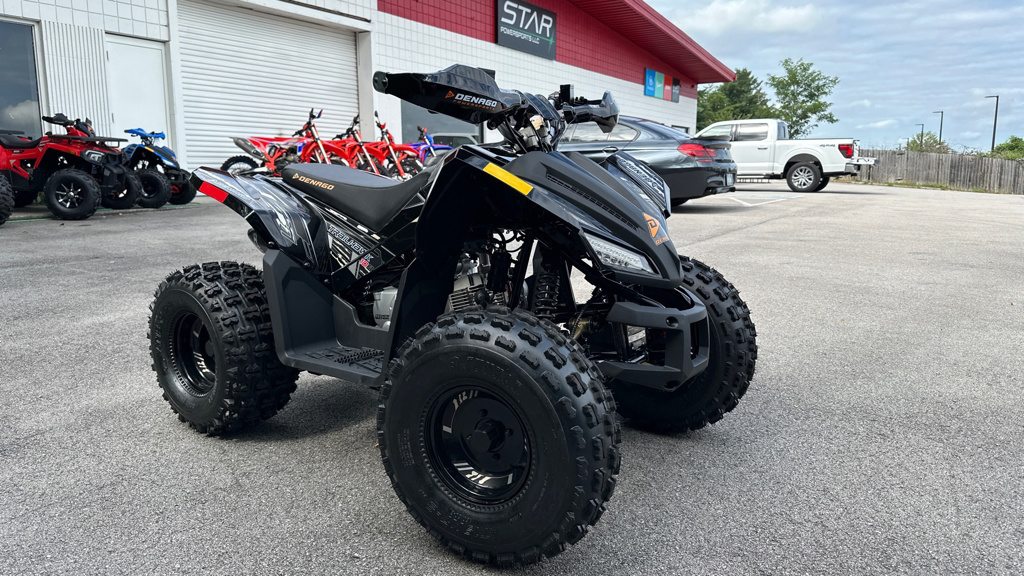2026 Denago Powersports Trailhawk 10FI in knoxville TN