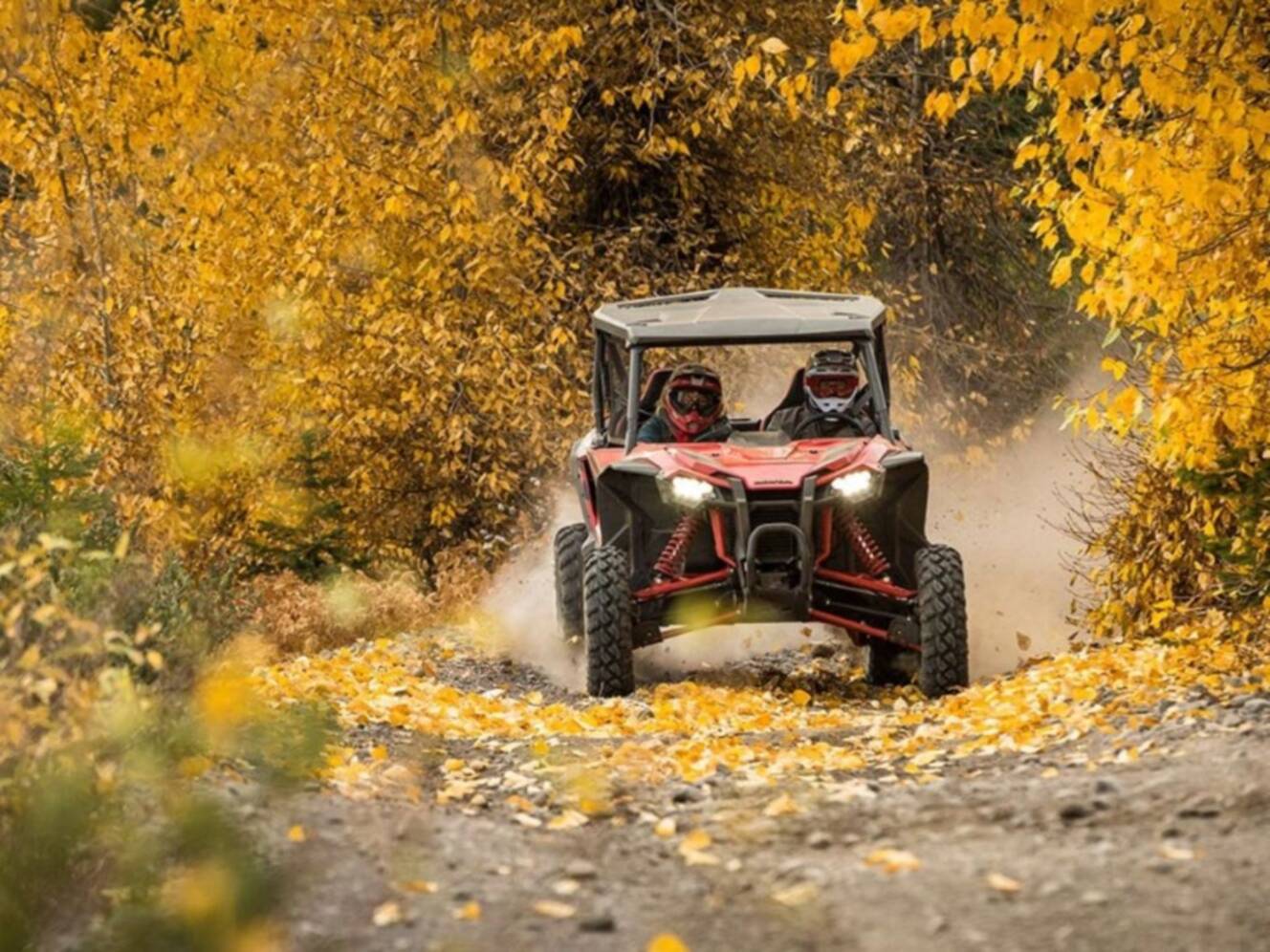 A photo of this 2020 Honda® Talon 1000R