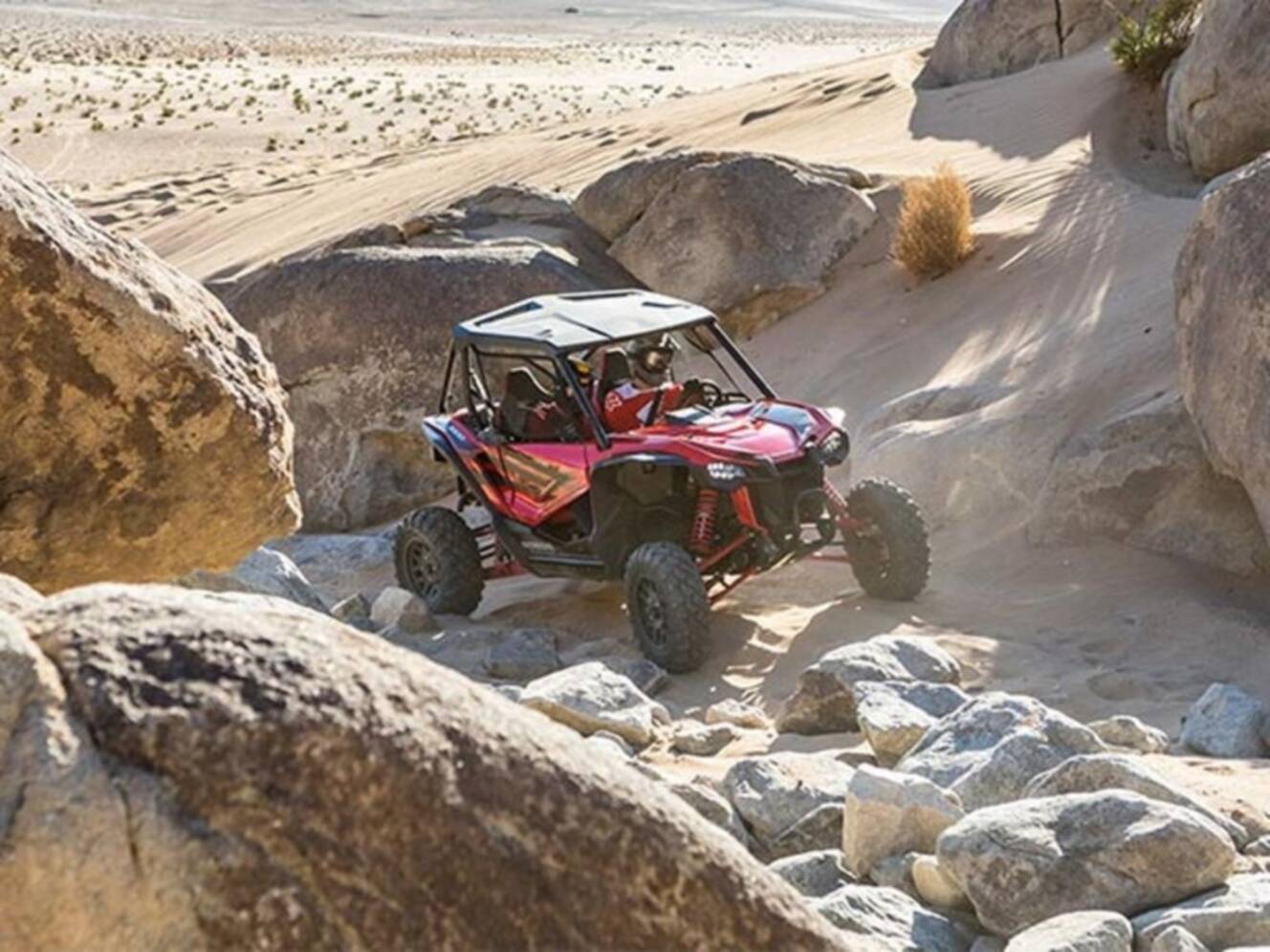 A photo of this 2020 Honda® Talon 1000R