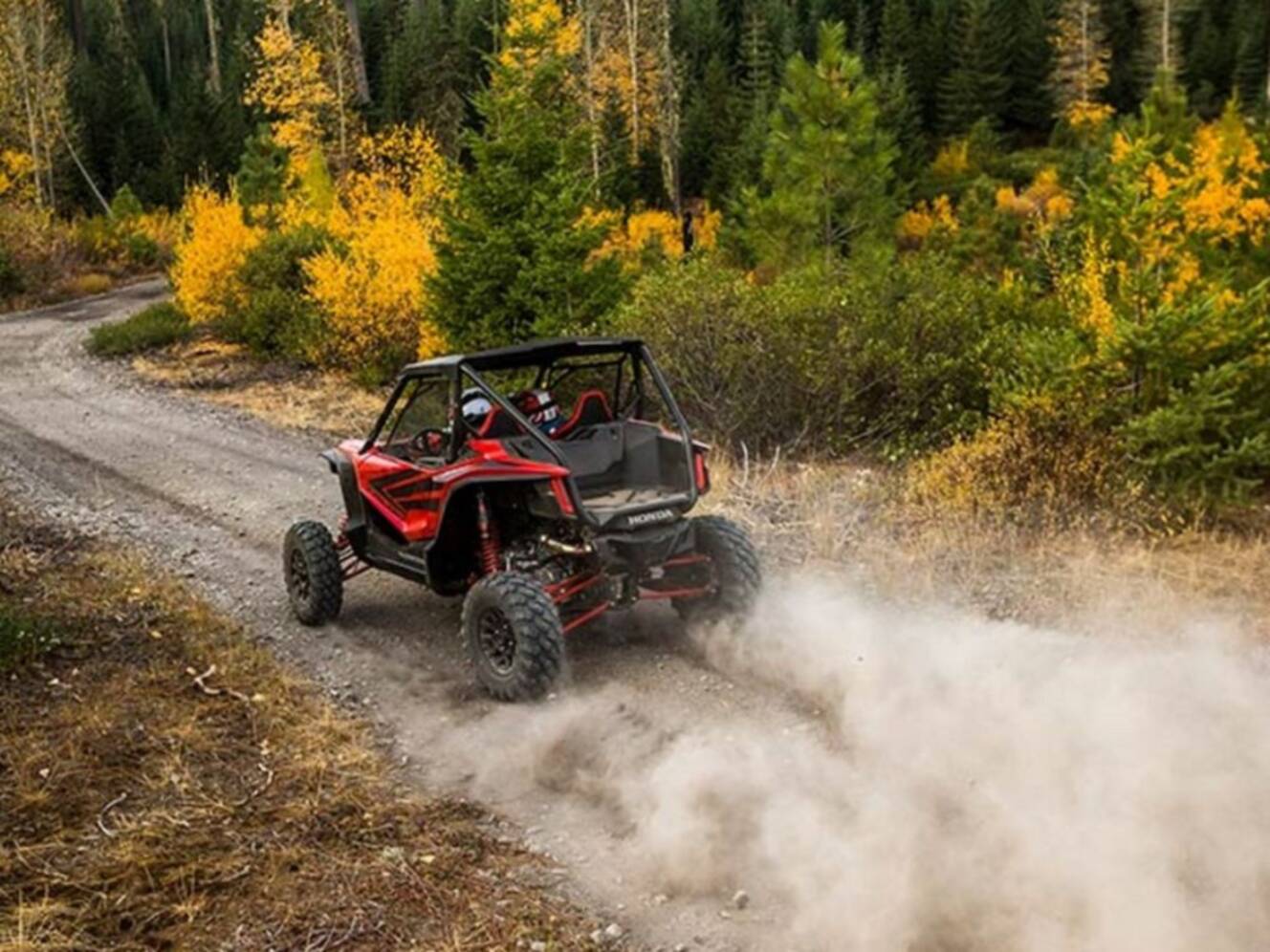 A photo of this 2020 Honda® Talon 1000R