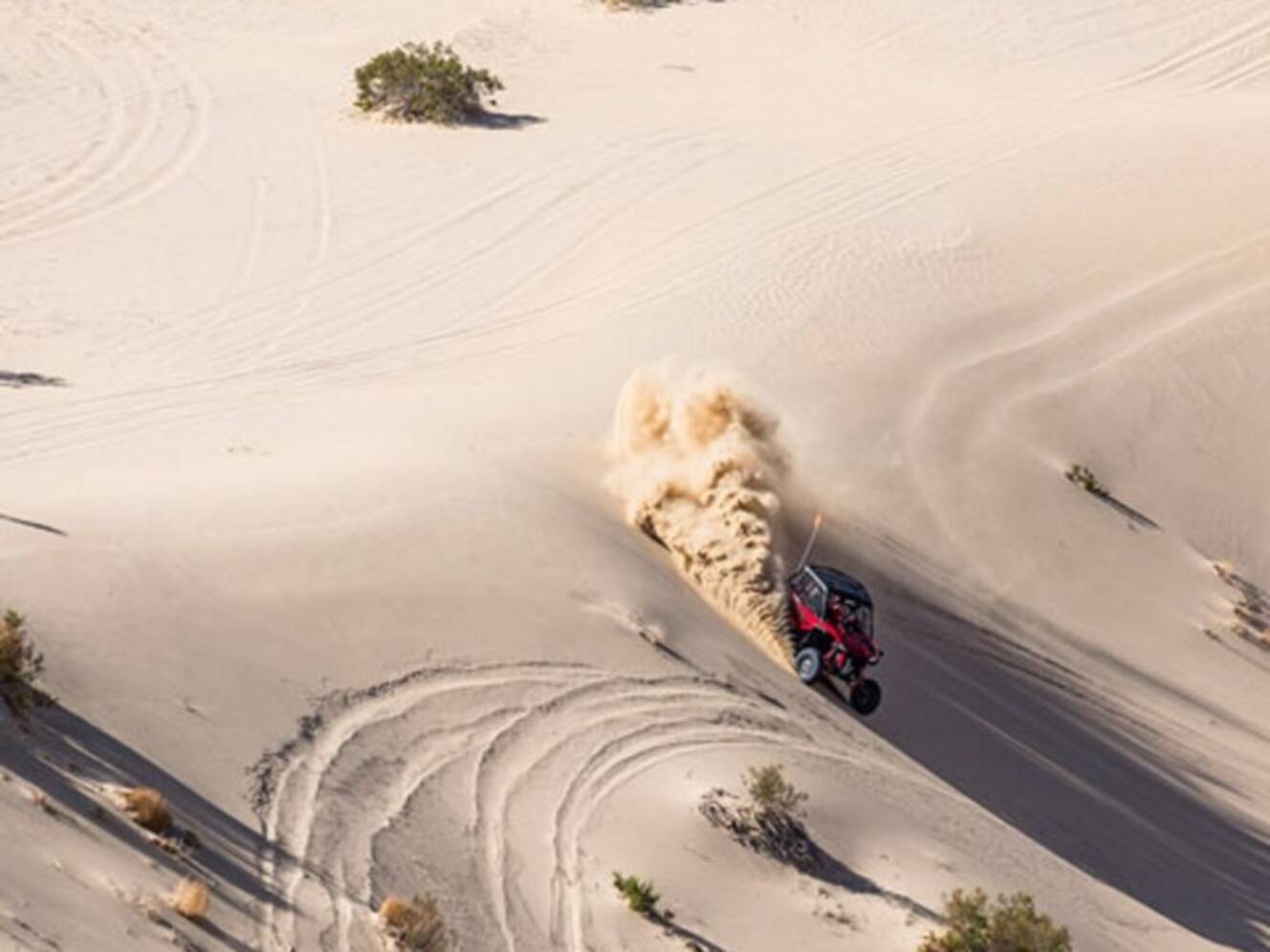 A photo of this 2020 Honda® Talon 1000R