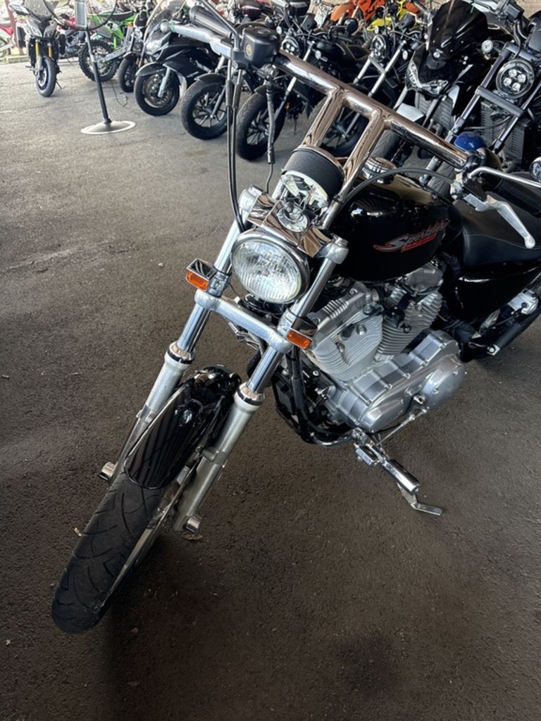 2004 Harley-Davidson® XL883 in Florence, AL