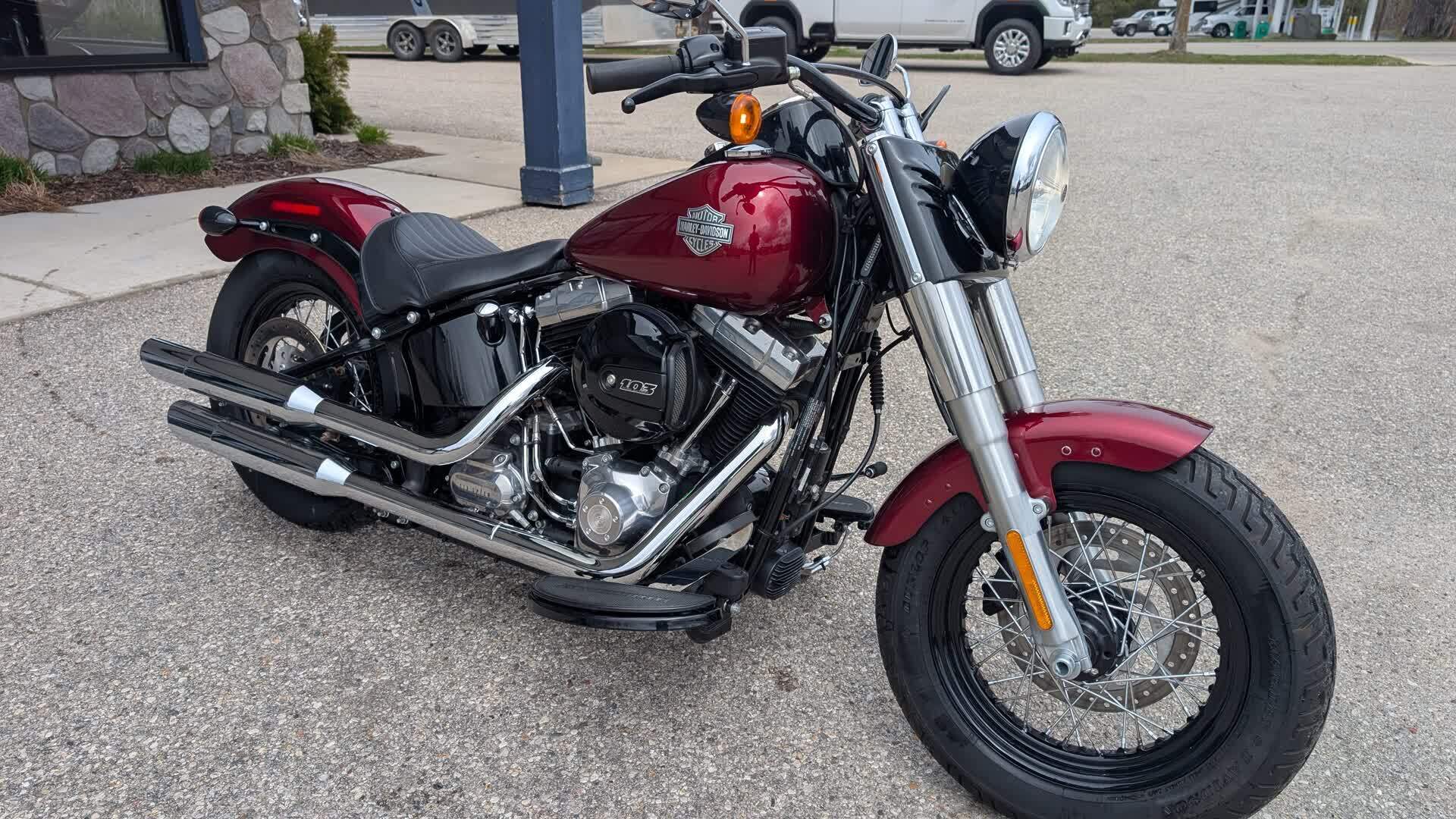 2016 Harley-Davidson FLS Softail Slim SLIM in Petoskey, MI