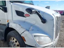 2019 PETERBILT 579