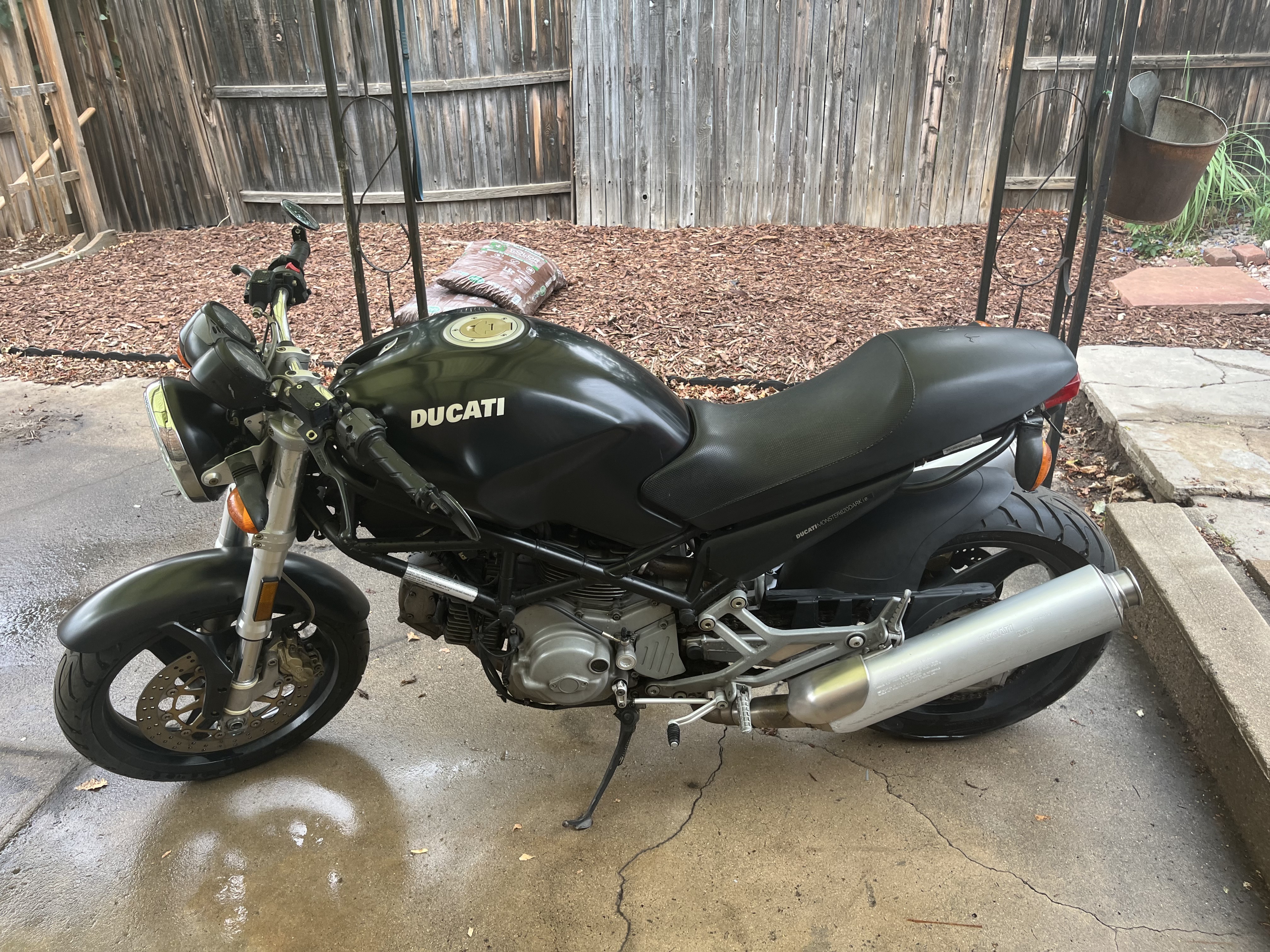 2002 Ducati MONSTER 620 DARK 620 DARK in Denver, CO