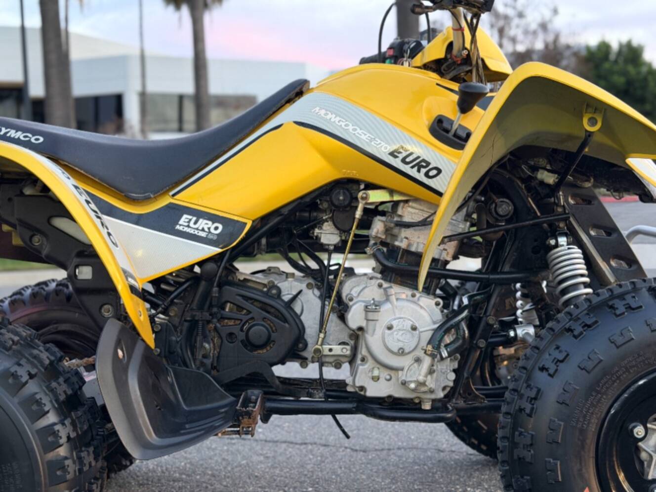 A photo of this 2019 Kymco Mongoose 270 Euro
