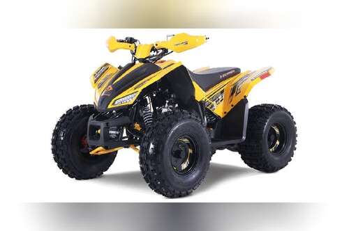 2026 Denago Powersports Trailhawk 10FI in jackson OH