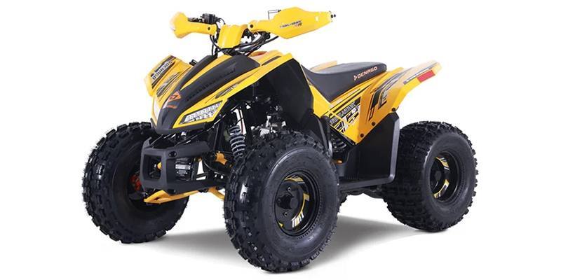 2026 Denago Powersports Trailhawk 10FI in jackson OH
