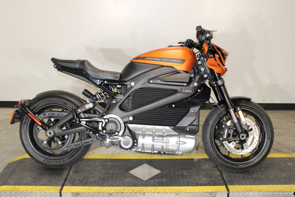 2020 Harley-Davidson® ELW - LiveWire ELW in Fort Worth, TX