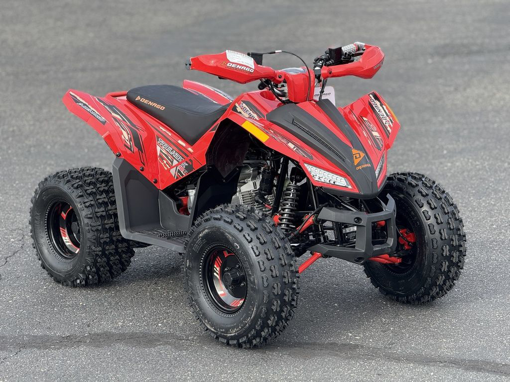 2026 Denago Powersports Trailhawk 10FI in kennewick WA