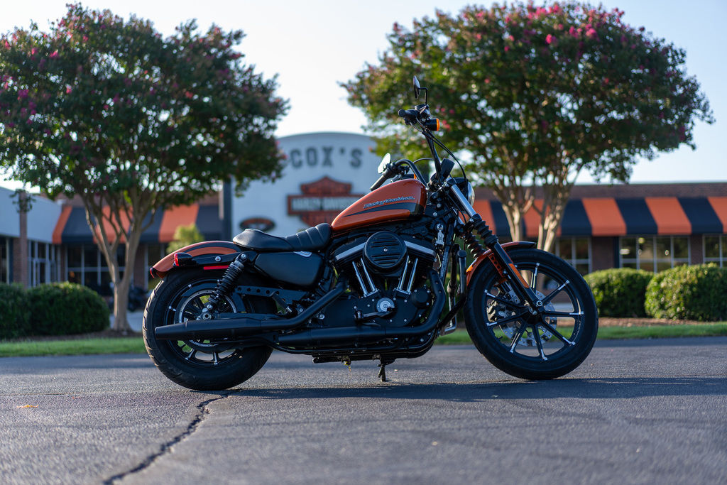 2020 Harley-Davidson® XL883N - Sportster® Iron 883 IRON in Asheboro, NC