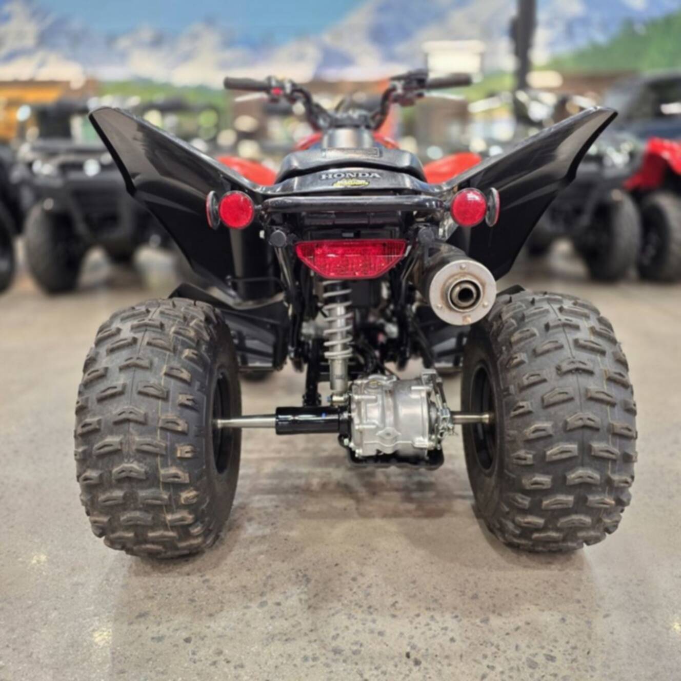 A photo of this 2024 Honda TRX 250X