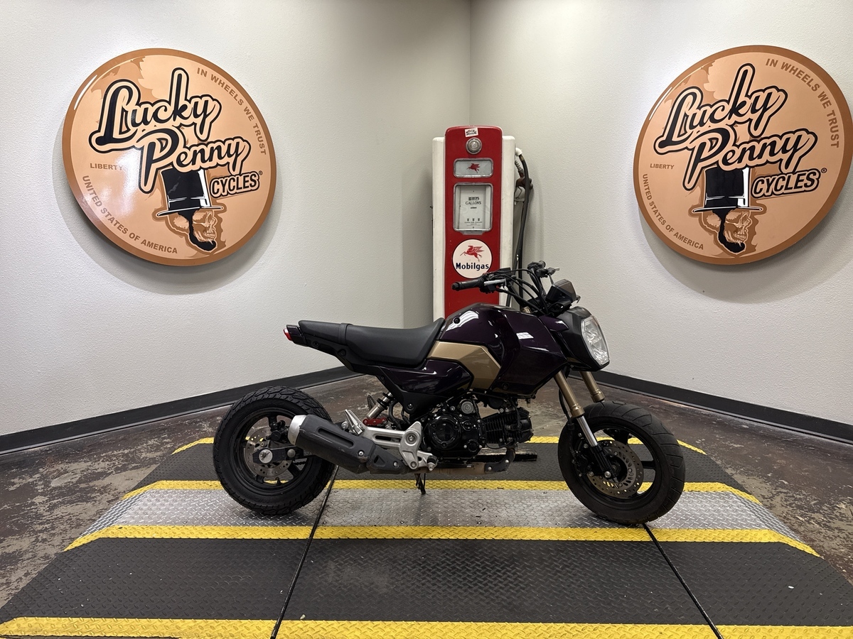 2025 Honda Cruiser 250 in Bedford, TX