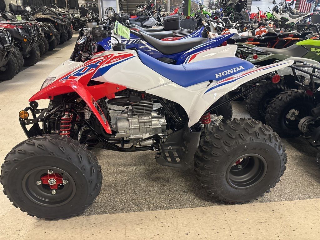 2026 Honda® TRX250X in greenville SC