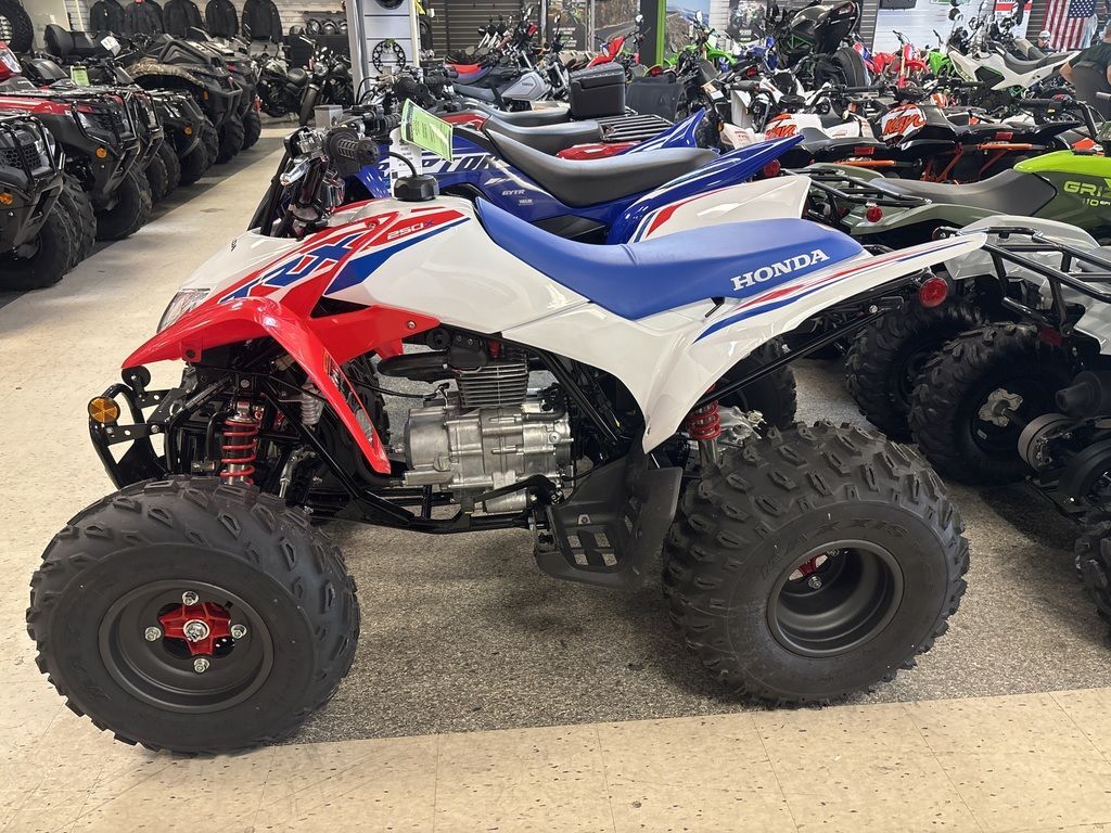 2026 Honda® TRX250X in greenville SC