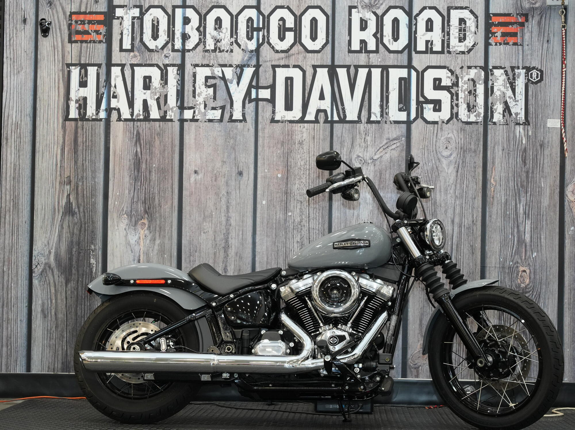 2025 Harley-Davidson Street Bob in Raleigh, NC