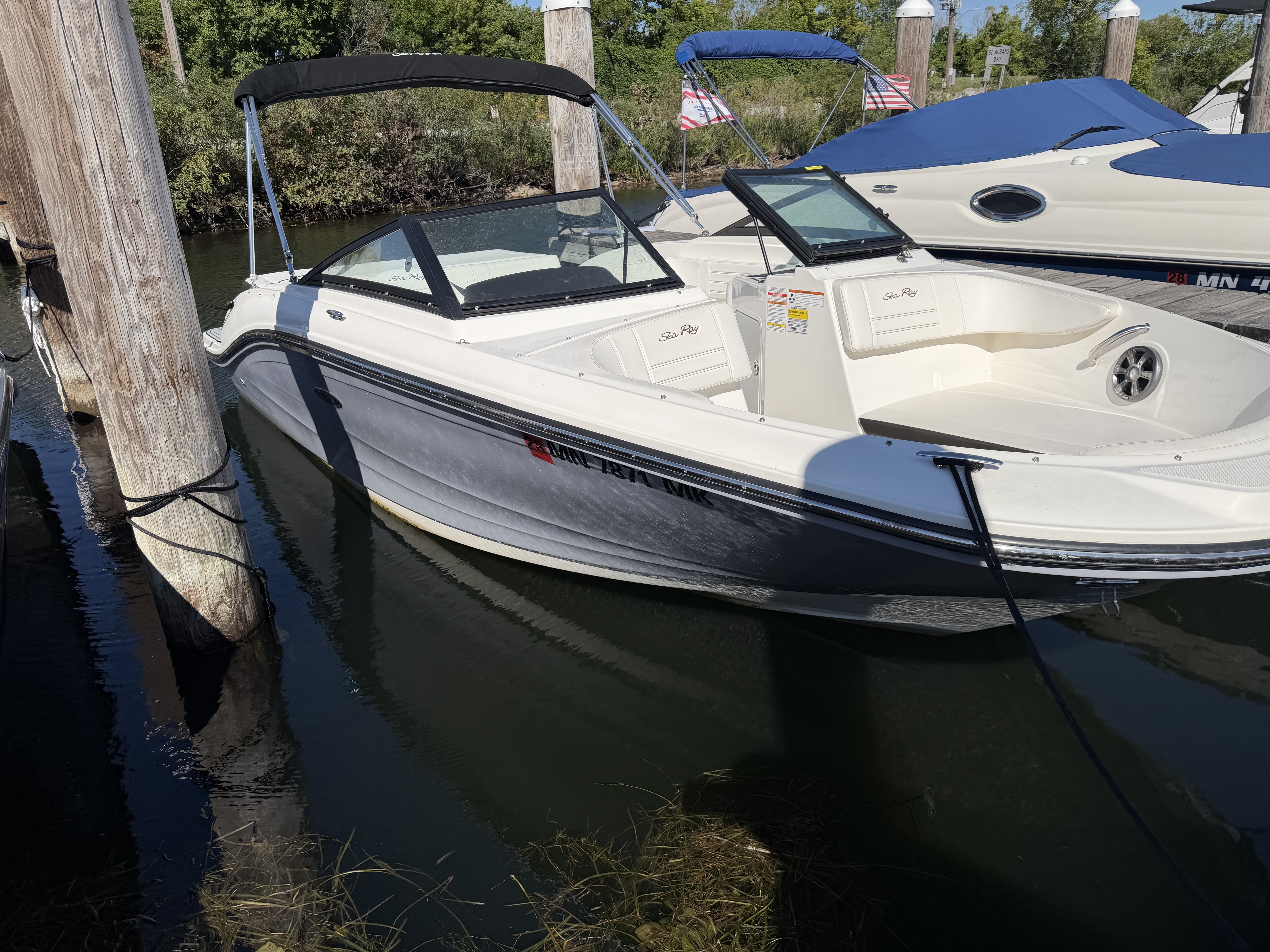 2019 Sea Ray 190 SPX 230 OUTBOARD in excelsior MN