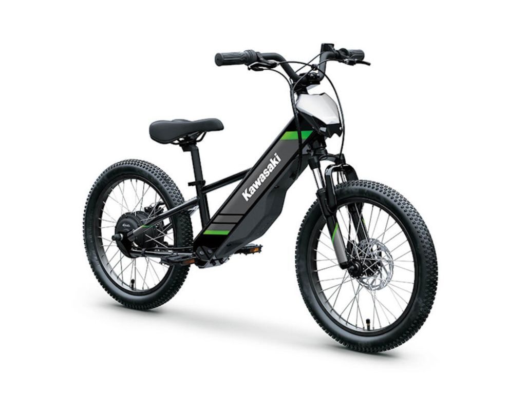 2025 Kawasaki Elektrode® 20 in Kissimmee, FL