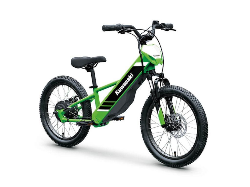 2025 Kawasaki Elektrode® 20 in Kissimmee, FL