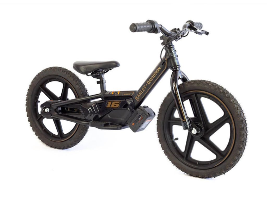 2025 Stacyc H-D 16eDrive Brushless BRUSHLESS in Kissimmee, FL