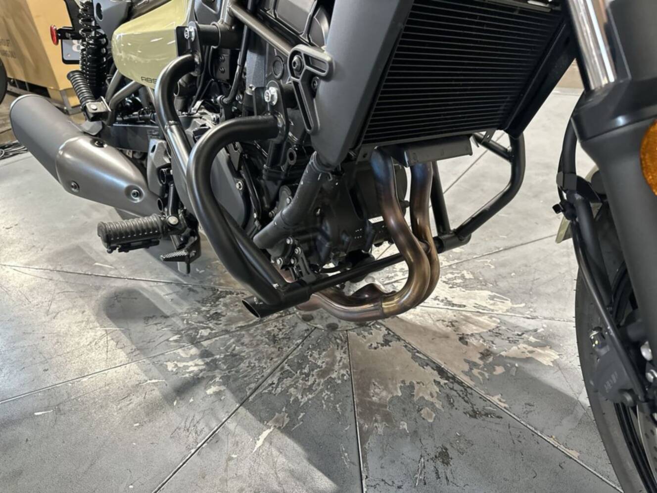 A photo of this 2025 Kawasaki Eliminator®
