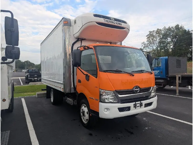 2019 HINO 195