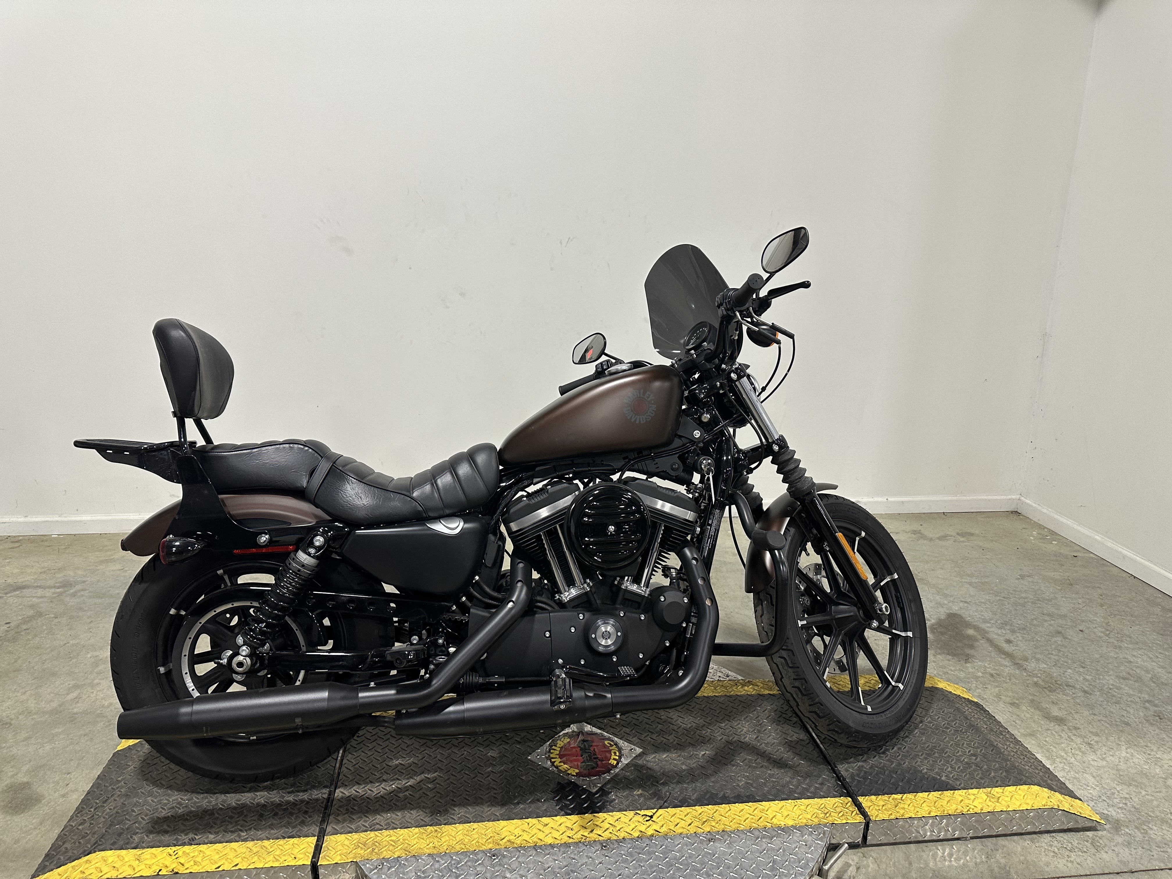 2019 Harley-Davidson SPORTSTER IRON 883 in Medina, OH