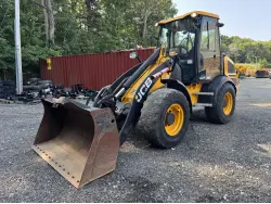 2017 JCB 409