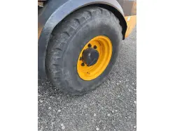 2017 JCB 409