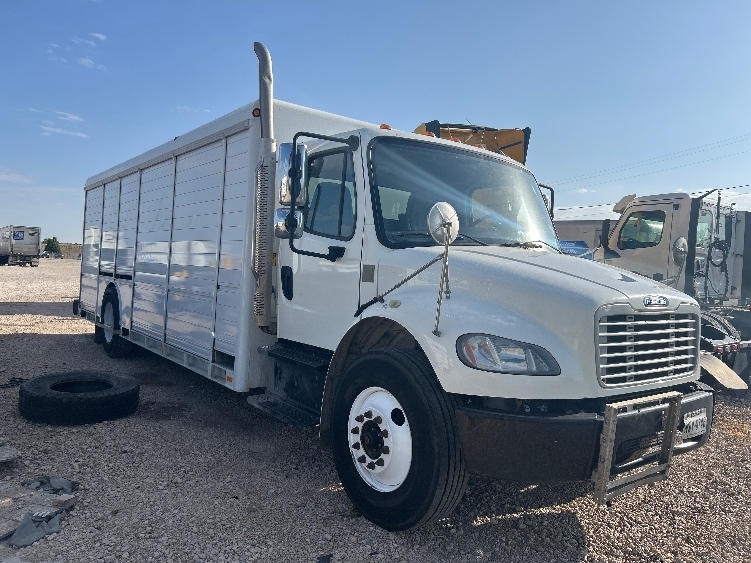 2020 FREIGHTLINER BUSINESS CLASS M2 106 in Amarillo, TX