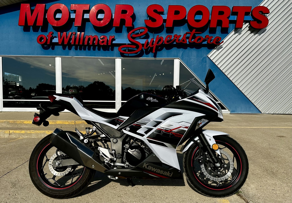 2014 Kawasaki Ninja 300 ABS SE 300 ABS SE in Willmar, MN