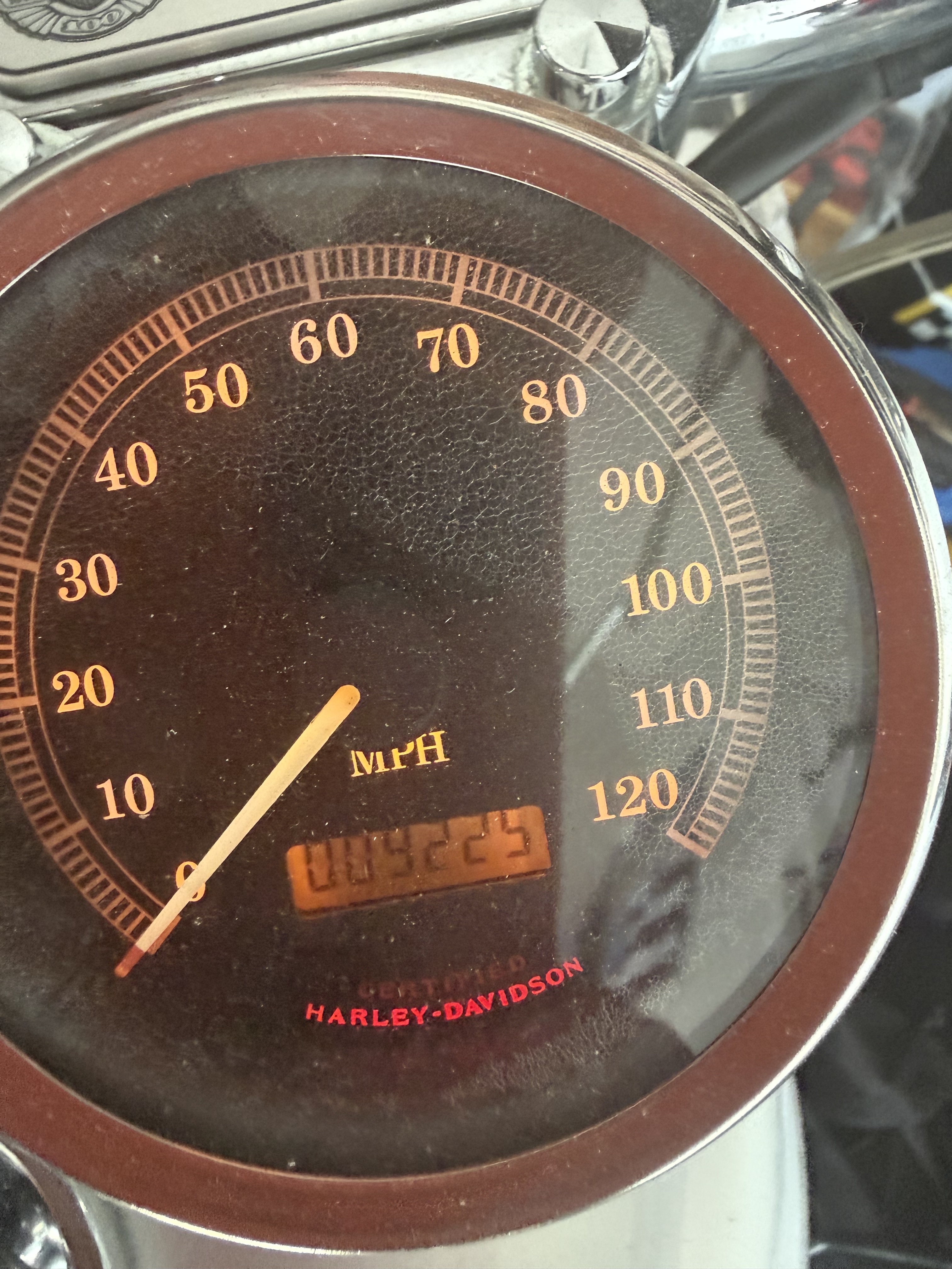 2003 Harley-Davidson SPORTSTER 1200 ANNIVERSARY EDITION ANNIVERSARY EDITION in Noblesville, IN